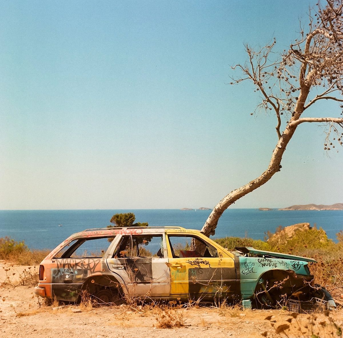 Graffiti-painted wreck of a car under a bare tree above the sea