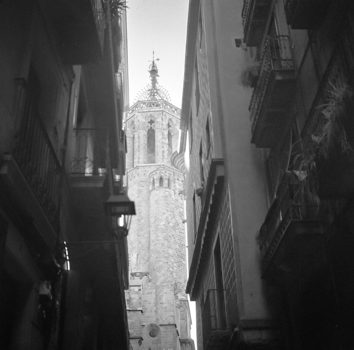 Gothic bell tower seen between narrow street facades, black and white